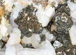 Pyrite On Calcite - El Hammam Mine, Morocco #80727-1